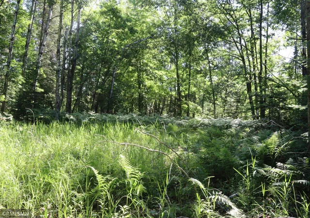 5th image of Tbd Sawmill Rd, Kerrick, MN 55756 | MLS# 7096663