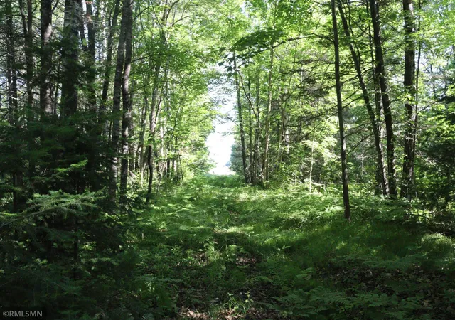 6th image of Tbd Sawmill Rd, Kerrick, MN 55756 | MLS# 7096663