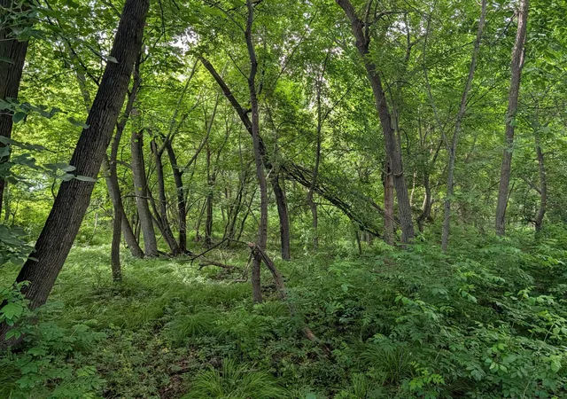 5th image of Tbd 477Th Ave, New York Mills, MN 56567 | MLS# 7096917