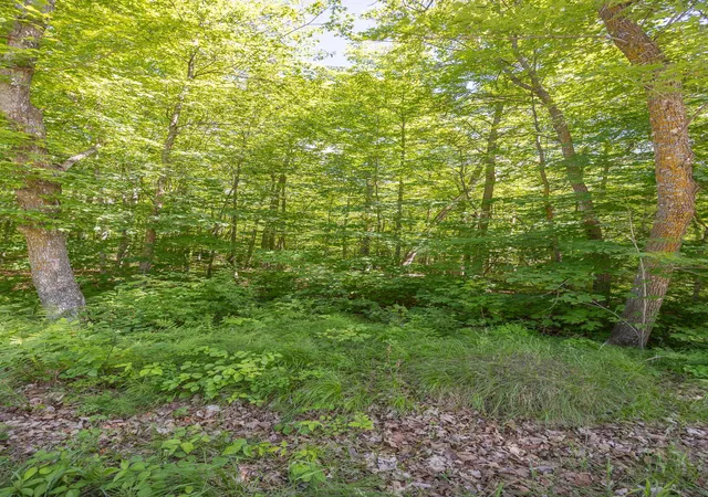 1st image of Tbd Island View Dr Ne, Longville, MN 56655 | MLS# 7096925