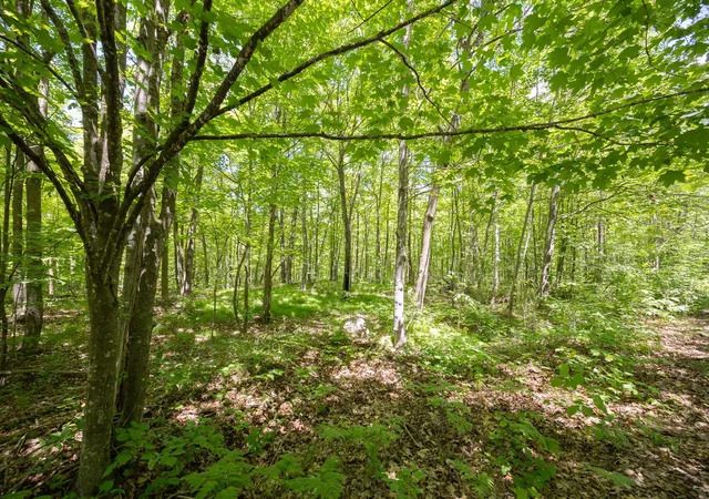 3rd image of Tbd Island View Dr Ne, Longville, MN 56655 | MLS# 7096925