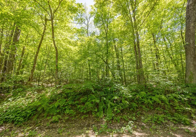 4th image of Tbd Island View Dr Ne, Longville, MN 56655 | MLS# 7096925