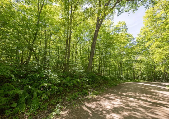 5th image of Tbd Island View Dr Ne, Longville, MN 56655 | MLS# 7096925