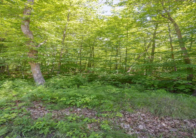 9th image of Tbd Island View Dr Ne, Longville, MN 56655 | MLS# 7096925