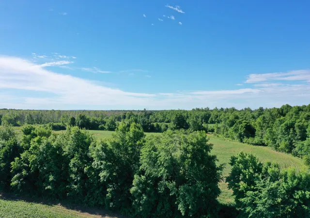 3rd image of Lot 1 Williams Rd, Grantsburg, WI 54840 | MLS# 7096984