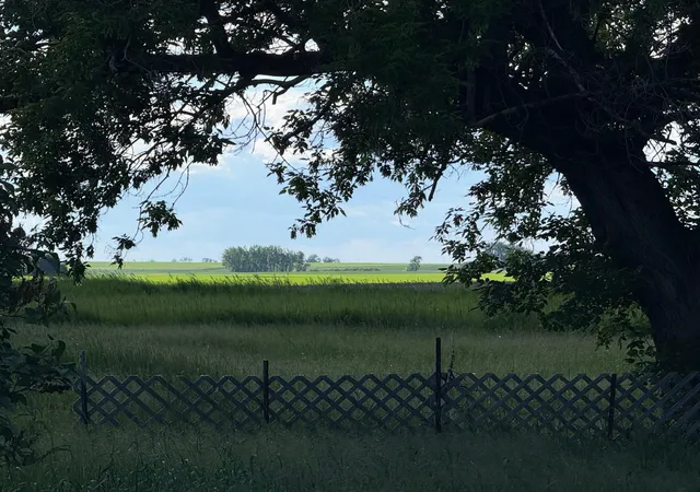 3rd image of 305 Roberts St, Webster, ND 58382 | MLS# 7097020