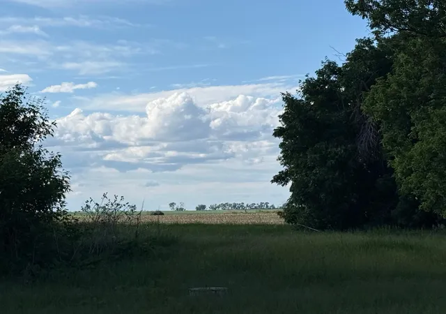 4th image of 305 Roberts St, Webster, ND 58382 | MLS# 7097020