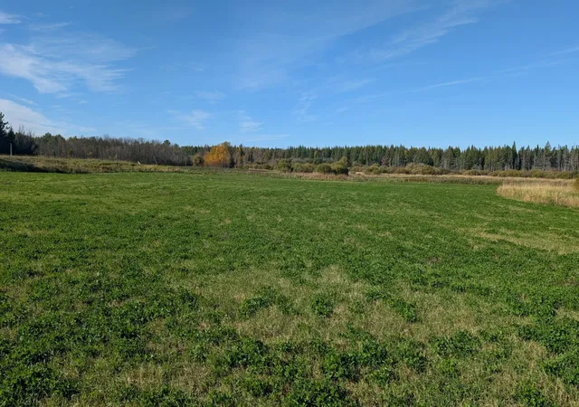 Photo 1 of Land for sale at 10211 Leander Rd, Angora, MN 55703 | MLS# 7097032 | Listing updated on 2026-10-01