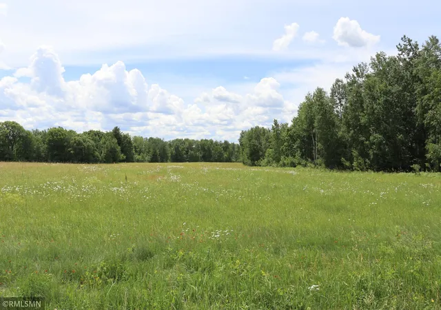 Homes for sale in Brook Park, MN | Tbd Parcel A Fore Rd, Brook Park, MN 55007 | MLS# 7097122