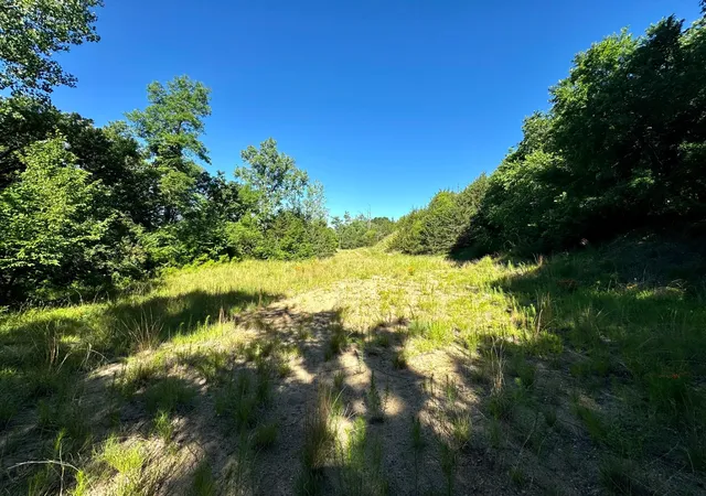 Homes for sale in Franklin, MN | Tbd County Road 51, Franklin, MN 55333 | MLS# 7097177
