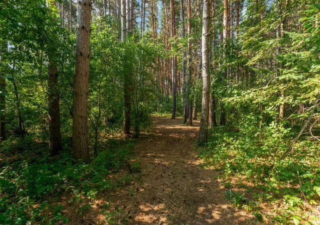 44th image of 27552 131st St Nw, Zimmerman, MN 55398 | MLS# 7097199