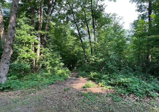 48th image of 24148 Williams Rd, Hillman, MN 56338 | MLS# 7097365