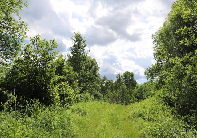 25th image of 0000 Baker Ave, Amery, WI 54001 | MLS# 7097503