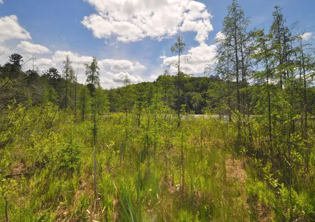 Photo 1 of Land for sale at Lot 2 Evening Vista Trl Nw, Shingobee Twp, MN 56433 | MLS# 7097650 | Listing updated on 2026-06-23
