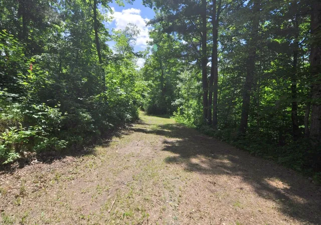 Photo 3 of Land for sale at Lot 2 Evening Vista Trl Nw, Shingobee Twp, MN 56433 | MLS# 7097650 | Listing updated on 2026-06-23