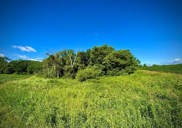 4th image of 0 Orlin Ln, Stockholm, WI 54769 | MLS# 7097707