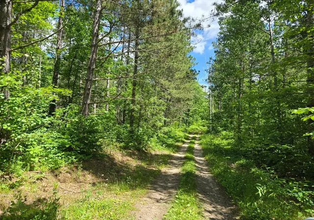 2nd image of Tbd Fs2564d, Remer, MN 56672 | MLS# 7097798