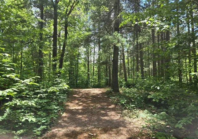 5th image of Tbd Fs2564D, Remer, MN 56672 | MLS# 7097798