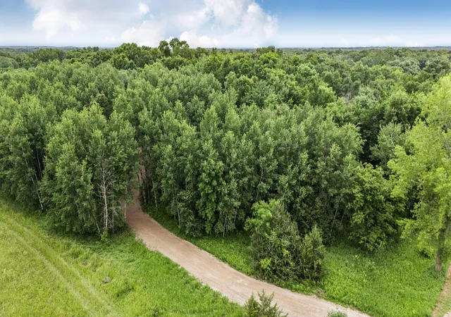17th image of 0000 Fourth Ave E, South Haven, MN 55382 | MLS# 7097813