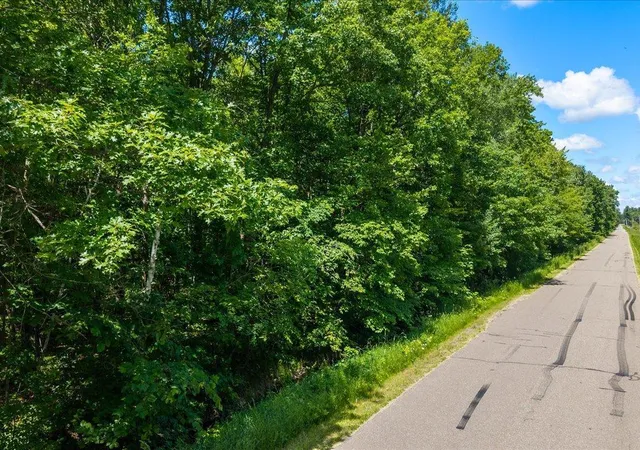 Homes for sale in Deerwood, MN | Tract B Maghan Road, Deerwood, MN 56444 | MLS# 7098025