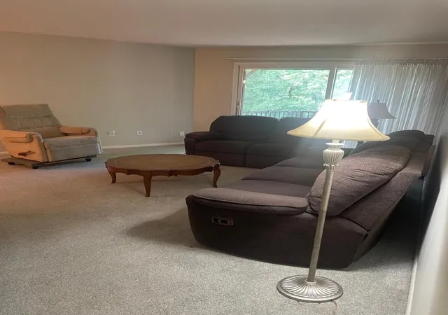 Homes for sale in Hopkins, MN | 10113 W 34Th St #338, Hopkins, MN 55305 | MLS# 7098105