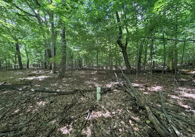 Photo 3 of Land for sale at 10897 N Ridge Ln, Avon, MN 56310 | MLS# 7098123 | Listing updated on 2026-08-03