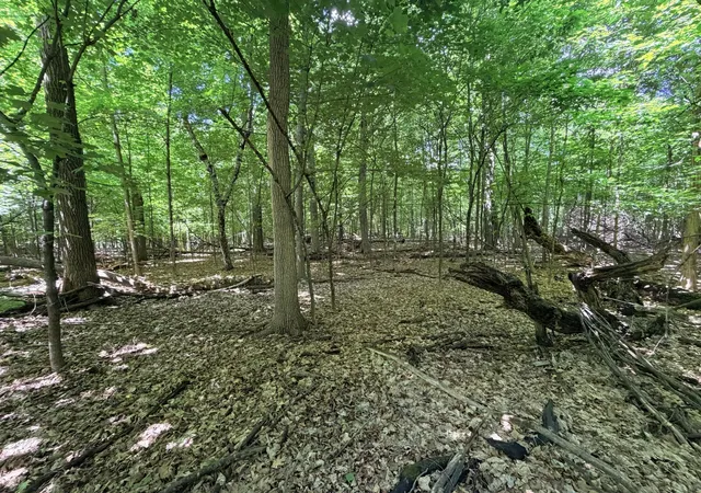 Photo 3 of Land for sale at 10897 N Ridge Ln, Avon, MN 56310 | MLS# 7098123 | Listing updated on 2026-08-03