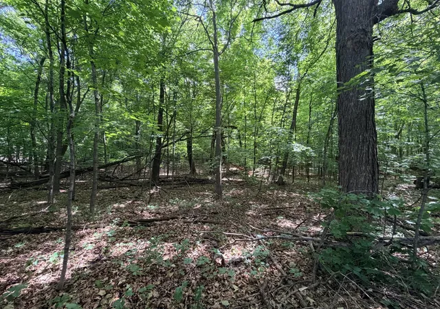 Photo 4 of Land for sale at 10897 N Ridge Ln, Avon, MN 56310 | MLS# 7098123 | Listing updated on 2026-08-03