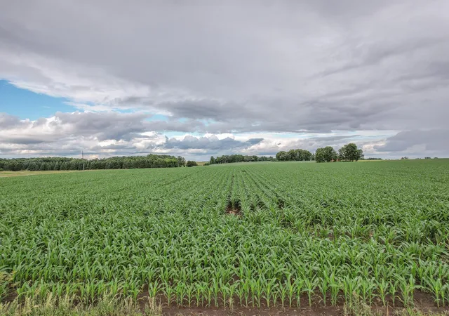 Photo 17 of Land for sale at Tbd 165th Avenue, Holdingford, MN 56340 | MLS# 7098136 | Listing updated on 2026-08-13