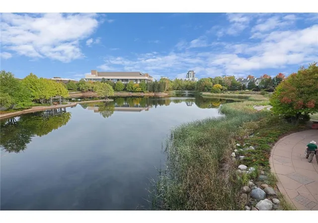 Homes for sale in Edina, MN | 4100 Parklawn Ave #316, Edina, MN 55435 | MLS# 7098250