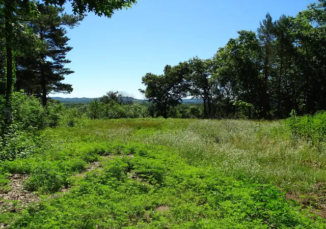 1st image of N4916 County Rd N, Arkansaw, WI 54721 | MLS# 7098388