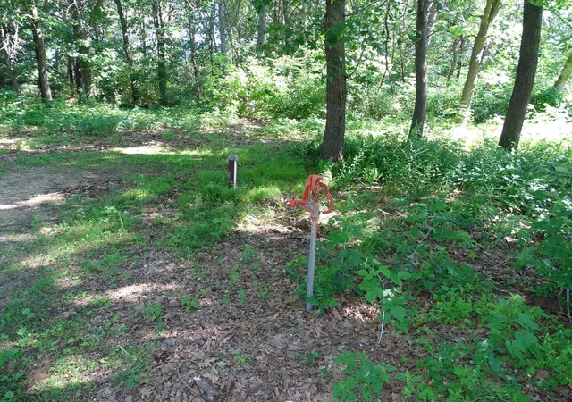 4th image of N4916 County Rd N, Arkansaw, WI 54721 | MLS# 7098388