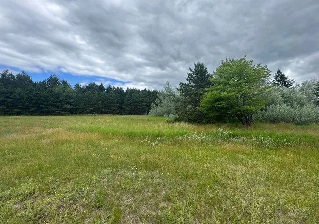 Homes for sale in Fort Ripley, MN | 2177 Mississippi Shores Rd, Fort Ripley, MN 56449 | MLS# 7098450