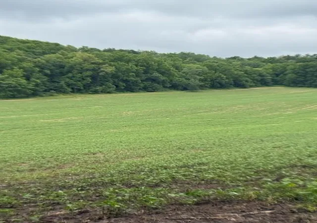 1st image of Tbd Back Valley Road, Pepin, WI 54759 | MLS# 7098458