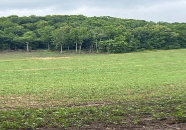 2nd image of Tbd Back Valley Road, Pepin, WI 54759 | MLS# 7098458