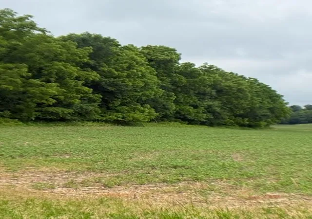 3rd image of Tbd Back Valley Road, Pepin, WI 54759 | MLS# 7098458