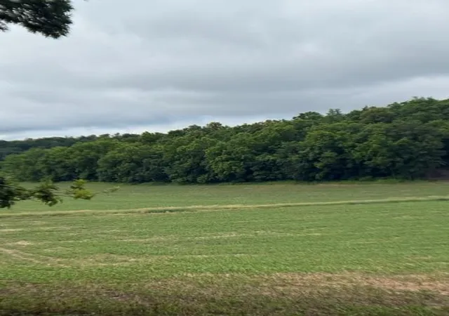4th image of Tbd Back Valley Road, Pepin, WI 54759 | MLS# 7098458