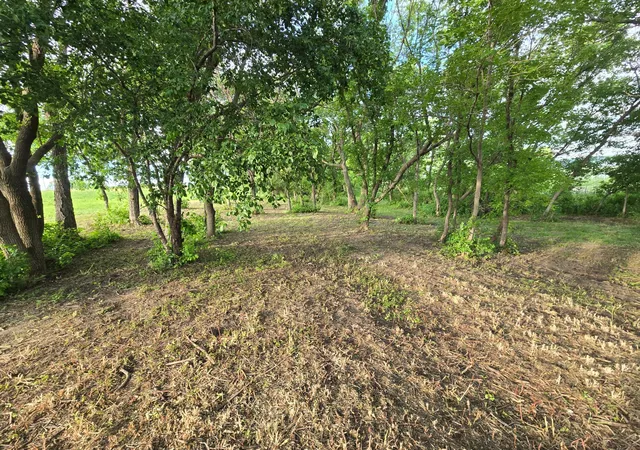 Photo 3 of Land for sale at Tbd Minnesota State Hwy 28, Glenwood, MN 56334 | MLS# 7098464 | Listing updated on 2026-06-30