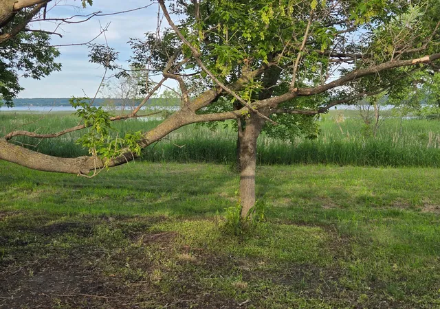 Photo 4 of Land for sale at Tbd Minnesota State Hwy 28, Glenwood, MN 56334 | MLS# 7098464 | Listing updated on 2026-06-30