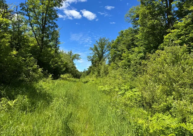 1st image of 0 Xxxx, Mc Gregor, MN 55760 | MLS# 7098491