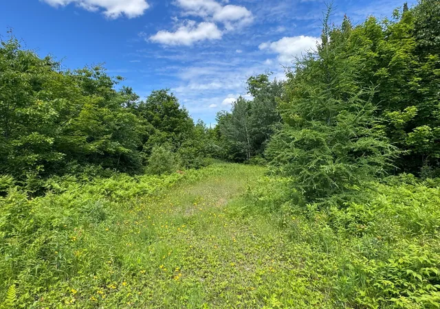 Photo 3 of Land for sale at Tbd 300th Lane, Mc Gregor, MN 55760 | MLS# 7098491 | Listing updated on 2026-09-28