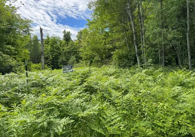 Photo 4 of Land for sale at Tbd 300th Lane, Mc Gregor, MN 55760 | MLS# 7098491 | Listing updated on 2026-09-28