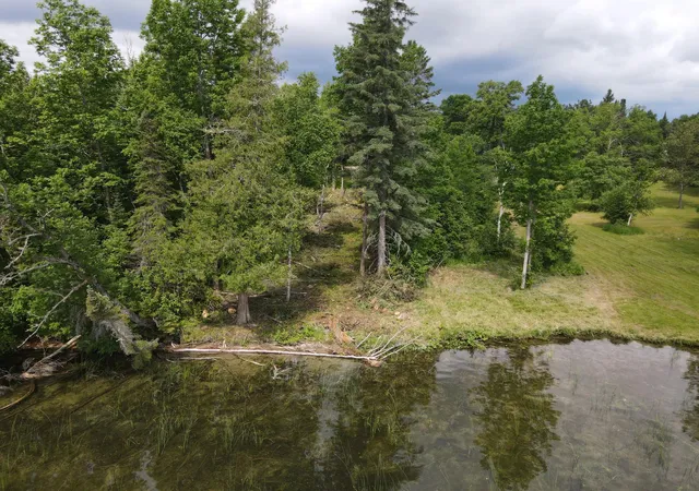 3rd image of Parcel B County Road 35, Deer River, MN 56636 | MLS# 7098678