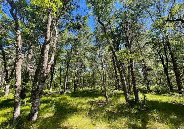 26th image of Tbd E Mail Rd, Gordon, WI 54838 | MLS# 7098766