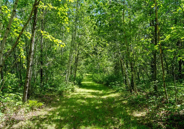 Homes for sale in Gordon, WI | Tbd E Mail Rd, Gordon, WI 54838 | MLS# 7098766