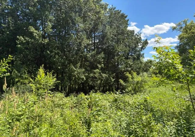 Photo 3 of Land for sale at 2835 Hadley Valley Rd NE, Rochester, MN 55906 | MLS# 7098781 | Listing updated on 2026-08-20