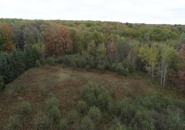 Photo 2 of Land for sale at 0 20th Avenue, Cadott, WI 54727 | MLS# 7098803 | Listing updated on 2026-09-18