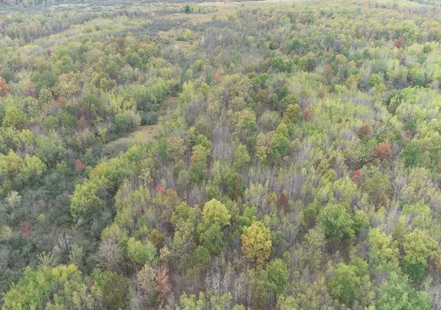 Photo 4 of Land for sale at 0 20th Avenue, Cadott, WI 54727 | MLS# 7098803 | Listing updated on 2026-09-18