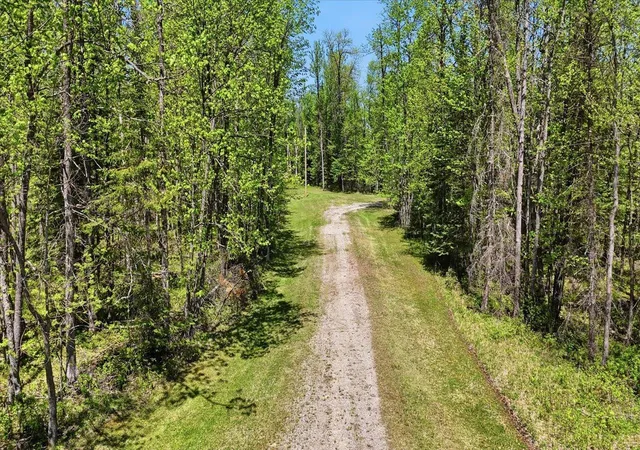 Photo 2 of Land for sale at Tbd Cedar Point Rd, Marcell, MN 56657 | MLS# 7098874 | Listing updated on 2026-09-02