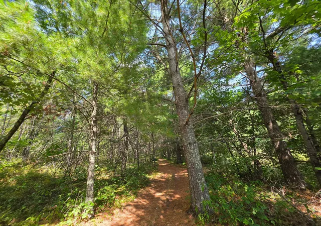 56th image of 3307 State Road 77, Danbury, WI 54830 | MLS# 7098892